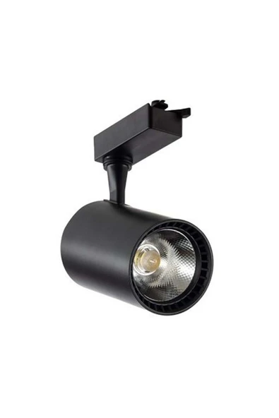 Forest Ray Spot Siyah Boru Kasa 30w Günışığı