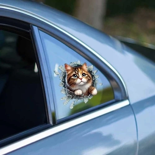 Fulcar Stray Araç Stickerı - 3