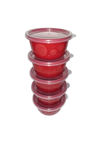 Hobby Life Tick Tock Hava Sızdırmaz Saklama Kabı 5'li Set 5 x 250 ML Kırmızı - 2