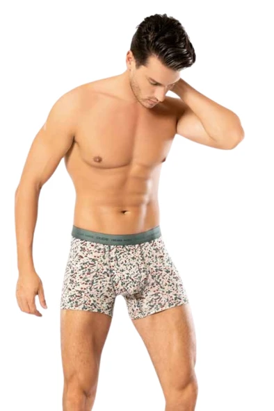Looksense Erkek Dude 2 li  Düz ve Desenli Likralı Boxer 1401 - Resim 3