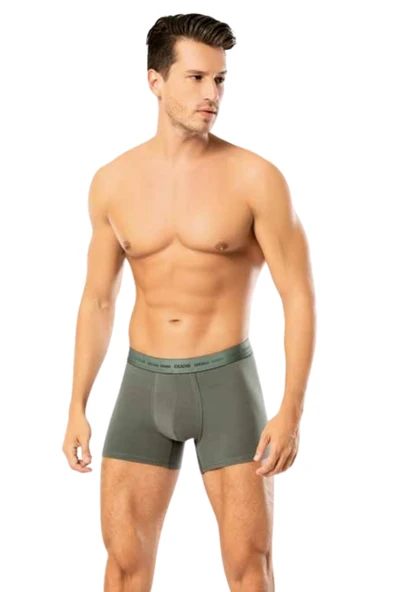 Looksense Erkek Dude 2 li  Düz ve Desenli Likralı Boxer 1401 - Resim 2