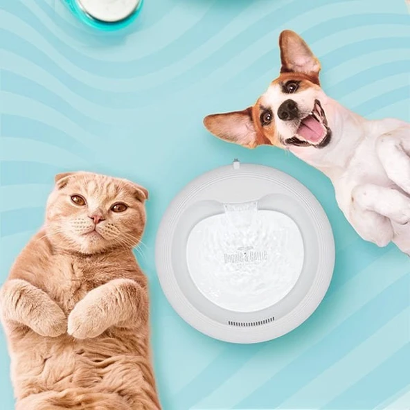 Cattie Kedi ve Köpek Klasik Model Arıtmalı Su Pınarı Yeşil 1 W 2.5 Lt - 3