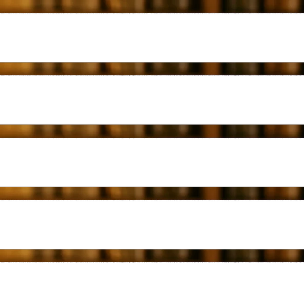 Kuşburnu Kurusu 100g - Resim 2