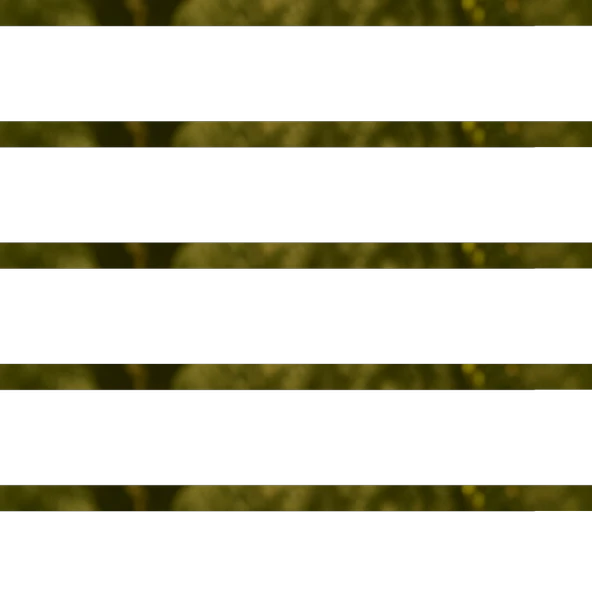 Zeytin Yaprağı 40g - Resim 2