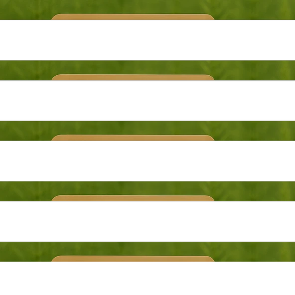 Kırkkilit Otu At Kuyruğu 25g - Resim 2