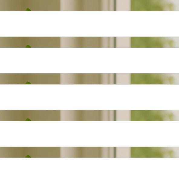 Stevia Yaprağı-Şeker Otu 30g - 2