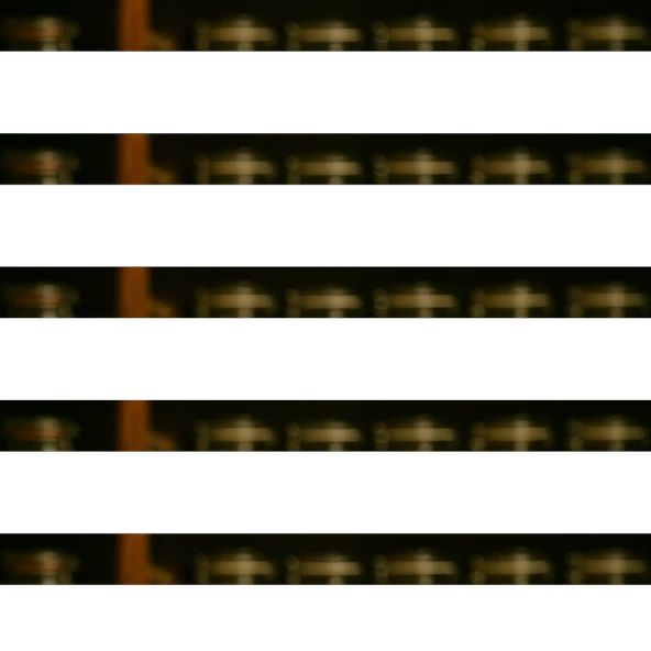 Kuşburnu Kurusu 100g ürün görseli