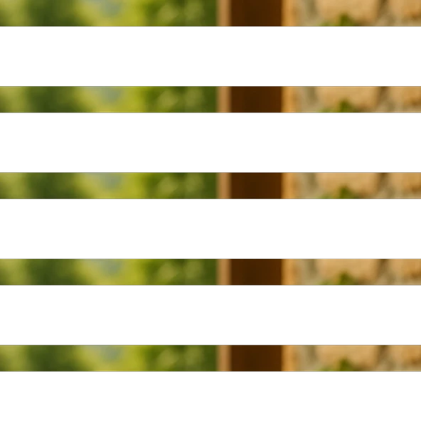 Ardıç Tohumu 100g - Resim 2