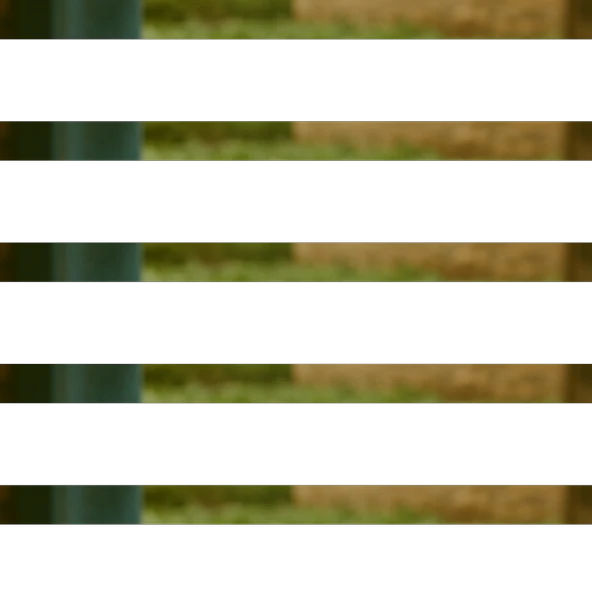 Tere Tohumu 50g ürün görseli