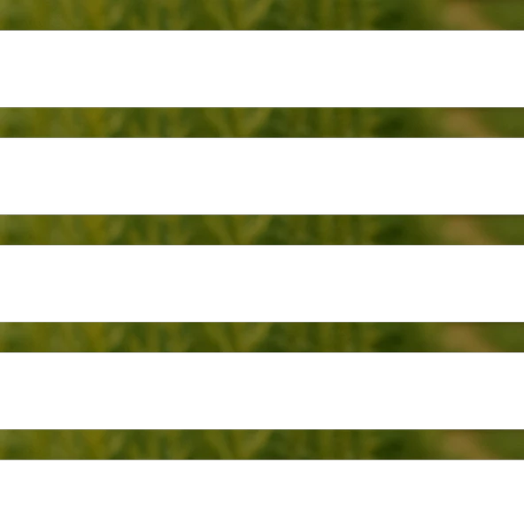 Zulumba-Cedvar 50g - 2