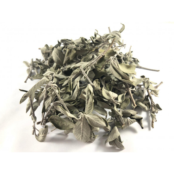 Adaçayı Kurutulmuş İkili (20GR VE 50GR Set) - 2