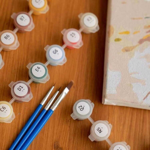 Pandam Renkli Sayılarla Boyama Seti - Resim 2