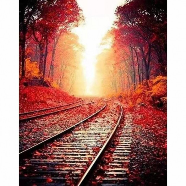 Tren Rayları Sayılarla Boyama Seti - 1