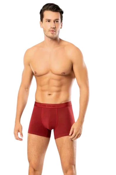 Looksense Erkek Dude 2 li Düz ve Desenli Likralı Boxer 1402 - Resim 3