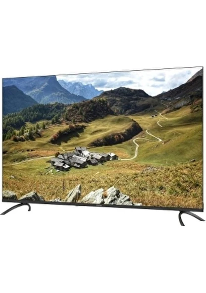 Altus AL55 UHD 9823 55" 4K Ultra HD Google Smart LED TV