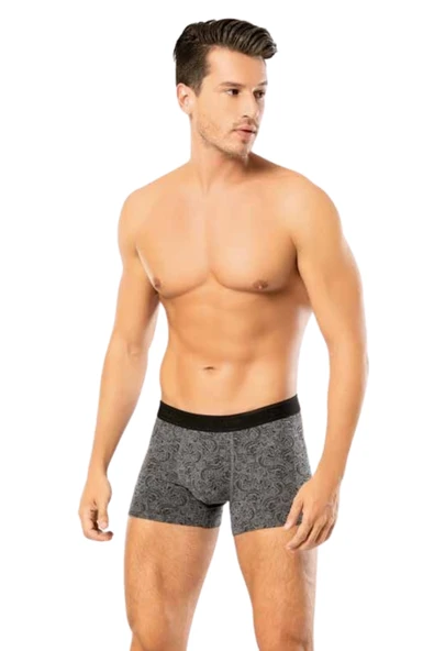 Looksense Erkek Dude 2 li  Düz ve Desenli Likralı Boxer 1403 - Resim 3