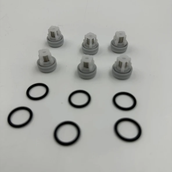 Ar Annovi Reverberi Yıkama Pompası Sibop Takımı A Tipi - Resim 3