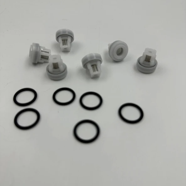 Ar Annovi Reverberi Yıkama Pompası Sibop Takımı A Tipi - Resim 7