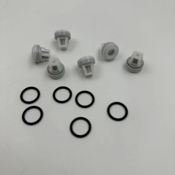 Ar Annovi Reverberi Yıkama Pompası Sibop Takımı A Tipi - Resim 6