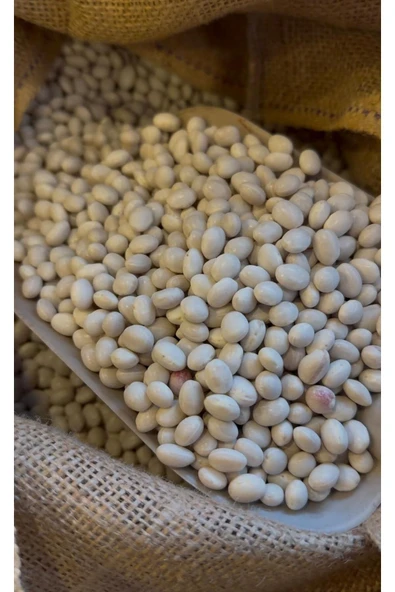 İspir Fasülyesi 1000 GR