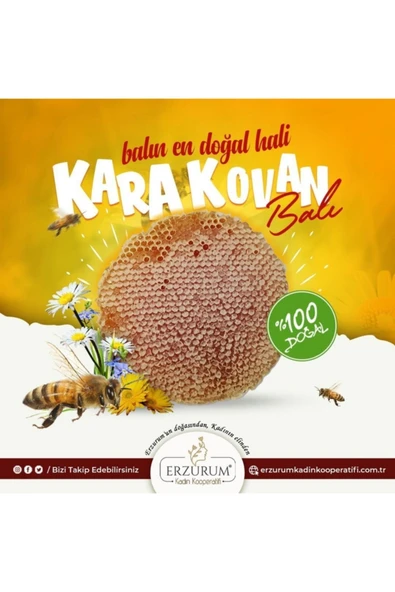 Kadın Kooperatifi Organik Karakovan Petek Bal 1 Kg - 2