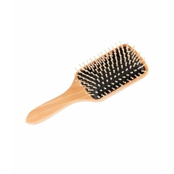 Lionesse 854801 Saç Fırçası