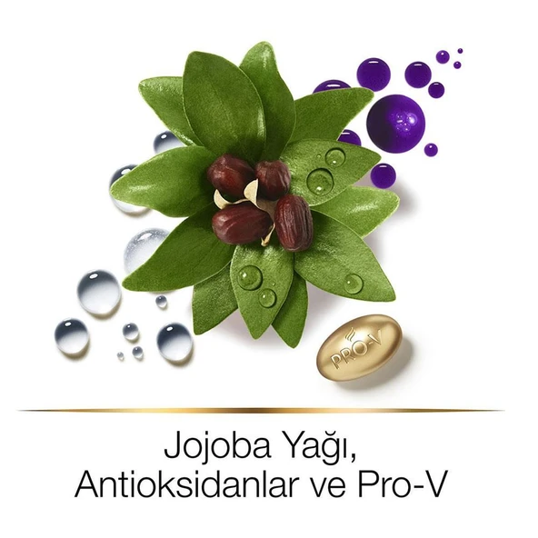 Pantene Hair Biology Silver Glowing Mor Şampuan 250ml - 3