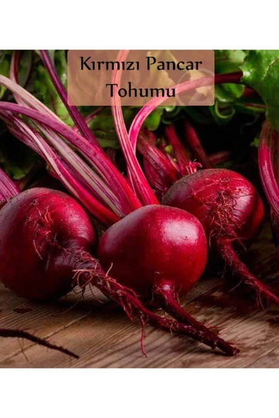 Kırmızı Pancar Tohumu 1 Paket Pancar Tohumu Ekmeye Uygun Yüksek Verimli Tohum ürün görseli