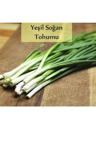 Yeşil Soğan Tohumu 1 Paket (10gr=2000+ Adet) Taze Soğan Tohumu