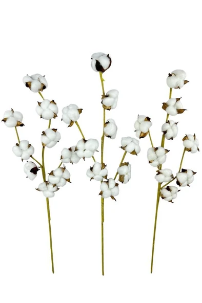 Nettenevime 3lü Set Doğal Pamuk Çiçeği 9lu Kuru Çiçek 60cm Yapay Çiçek - Resim 8