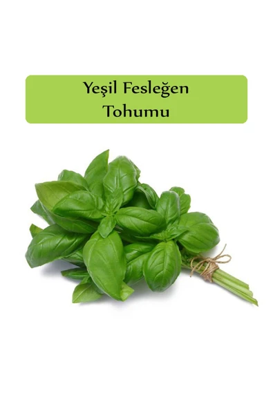 Yeşil Reyhan Tohumu Yeşil Fesleğen 1 Paket (3gr=100+ Adet) Fesleğen Tohumu - 2