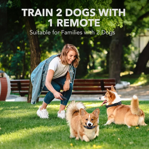 Dog Care TC08 2 Tasmalı Ultrasonic Eğitim Tasması - 2