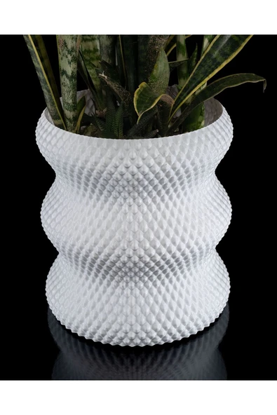 Plodna House Elmas Saksı - 6