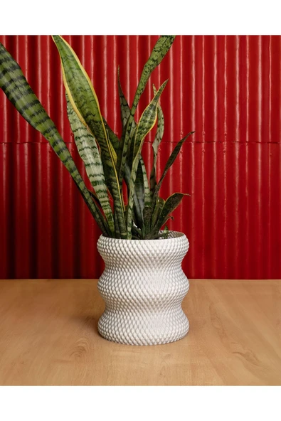 Plodna House Elmas Saksı