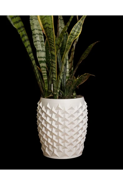 Plodna House Sivri Lüx Saksı - 3