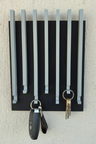 Plodna House Anahtarlık Askısı 27 X 20 Cm Duvar Süsü Plastik