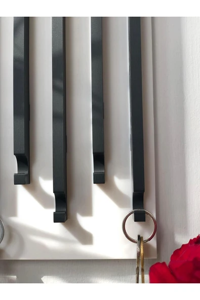 Plodna House Anahtarlık Askısı 27 X 20 Cm Duvar Süsü Plastik - 4