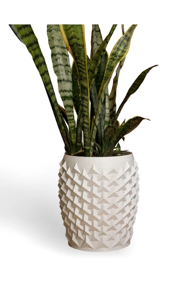 Plodna House Sivri Lüx Saksı - 2