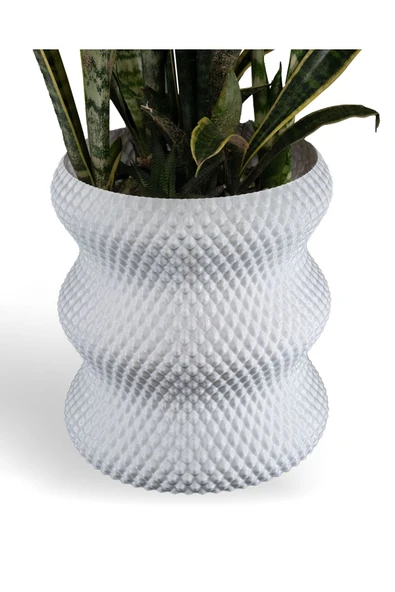 Plodna House Elmas Saksı - 3