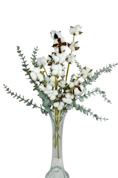 Nettenevime 5li set Doğal Pamuk Ve Okaliptus Çiçeği Kuru Çiçek Yapay Çiçek 3+2 Mix - Resim 5