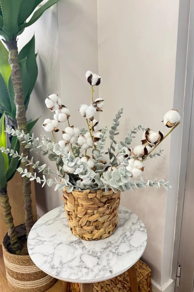 Nettenevime 5li set Doğal Pamuk Ve Okaliptus Çiçeği Kuru Çiçek Yapay Çiçek 3+2 Mix - Resim 7