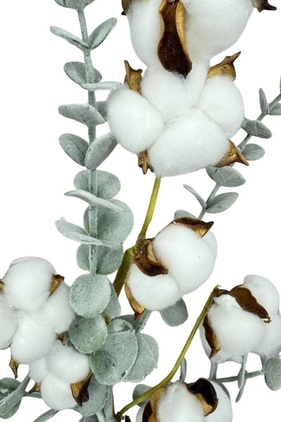 Nettenevime 5li set Doğal Pamuk Ve Okaliptus Çiçeği Kuru Çiçek Yapay Çiçek 3+2 Mix - Resim 3