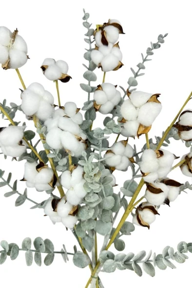 Nettenevime 5li set Doğal Pamuk Ve Okaliptus Çiçeği Kuru Çiçek Yapay Çiçek 3+2 Mix - Resim 2