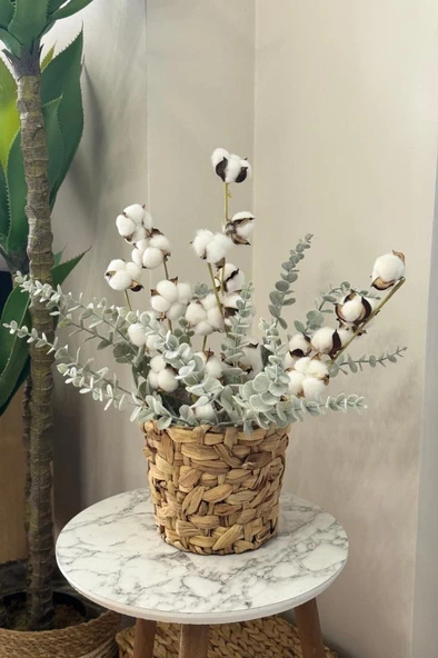 Nettenevime 5li set Doğal Pamuk Ve Okaliptus Çiçeği Kuru Çiçek Yapay Çiçek 3+2 Mix - Resim 6