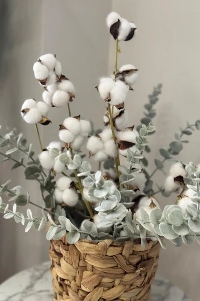 Nettenevime 5li set Doğal Pamuk Ve Okaliptus Çiçeği Kuru Çiçek Yapay Çiçek 3+2 Mix - Resim 8