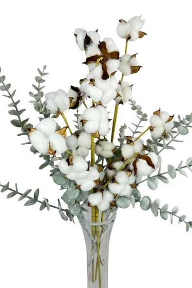 Nettenevime 5li set Doğal Pamuk Ve Okaliptus Çiçeği Kuru Çiçek Yapay Çiçek 3+2 Mix - Resim 4