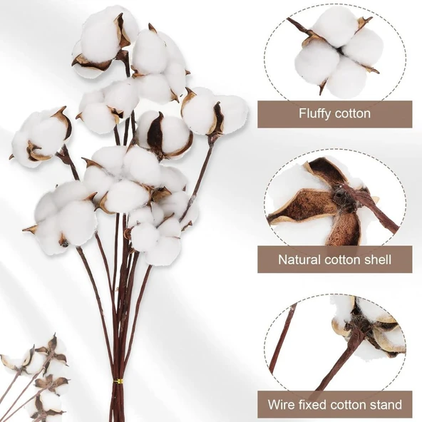 Nettenevime 3lü Set Doğal Pamuk Çiçeği 30 Adet Tekli Dal Kuru Çiçek 30cm Yapay Çiçek - 7