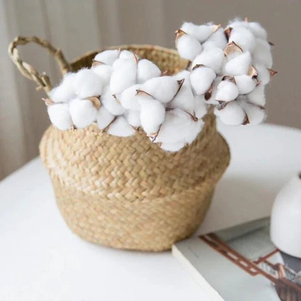 Nettenevime 3lü Set Doğal Pamuk Çiçeği 30 Adet Tekli Dal Kuru Çiçek 30cm Yapay Çiçek - 5