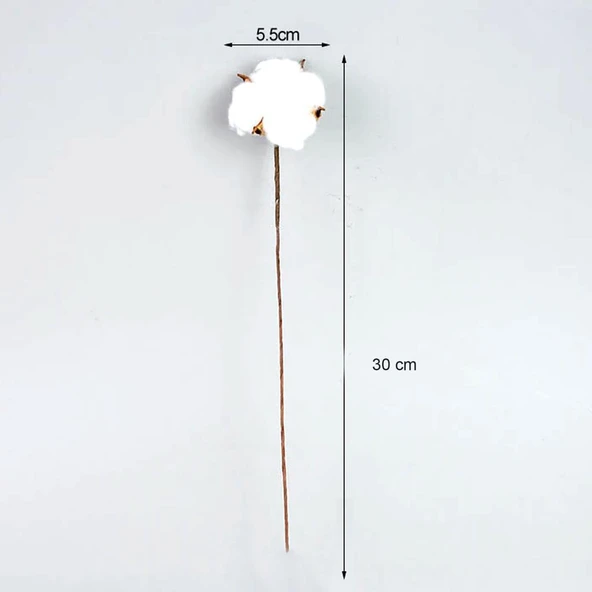 Nettenevime 3lü Set Doğal Pamuk Çiçeği 30 Adet Tekli Dal Kuru Çiçek 30cm Yapay Çiçek - 3