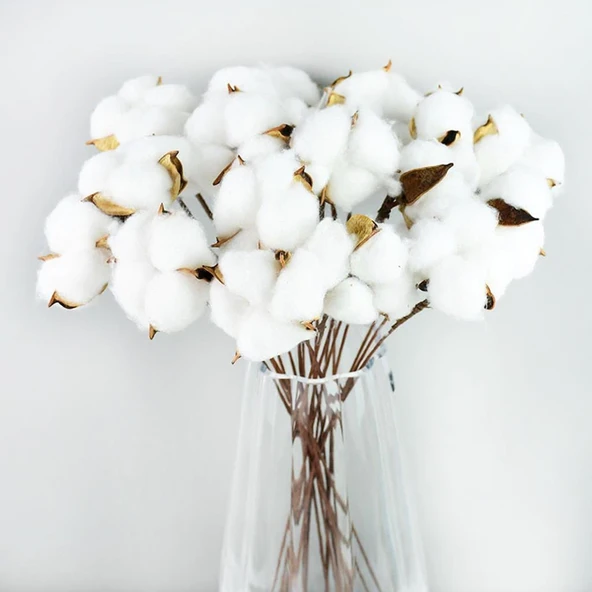 Nettenevime 3lü Set Doğal Pamuk Çiçeği 30 Adet Tekli Dal Kuru Çiçek 30cm Yapay Çiçek - 4
